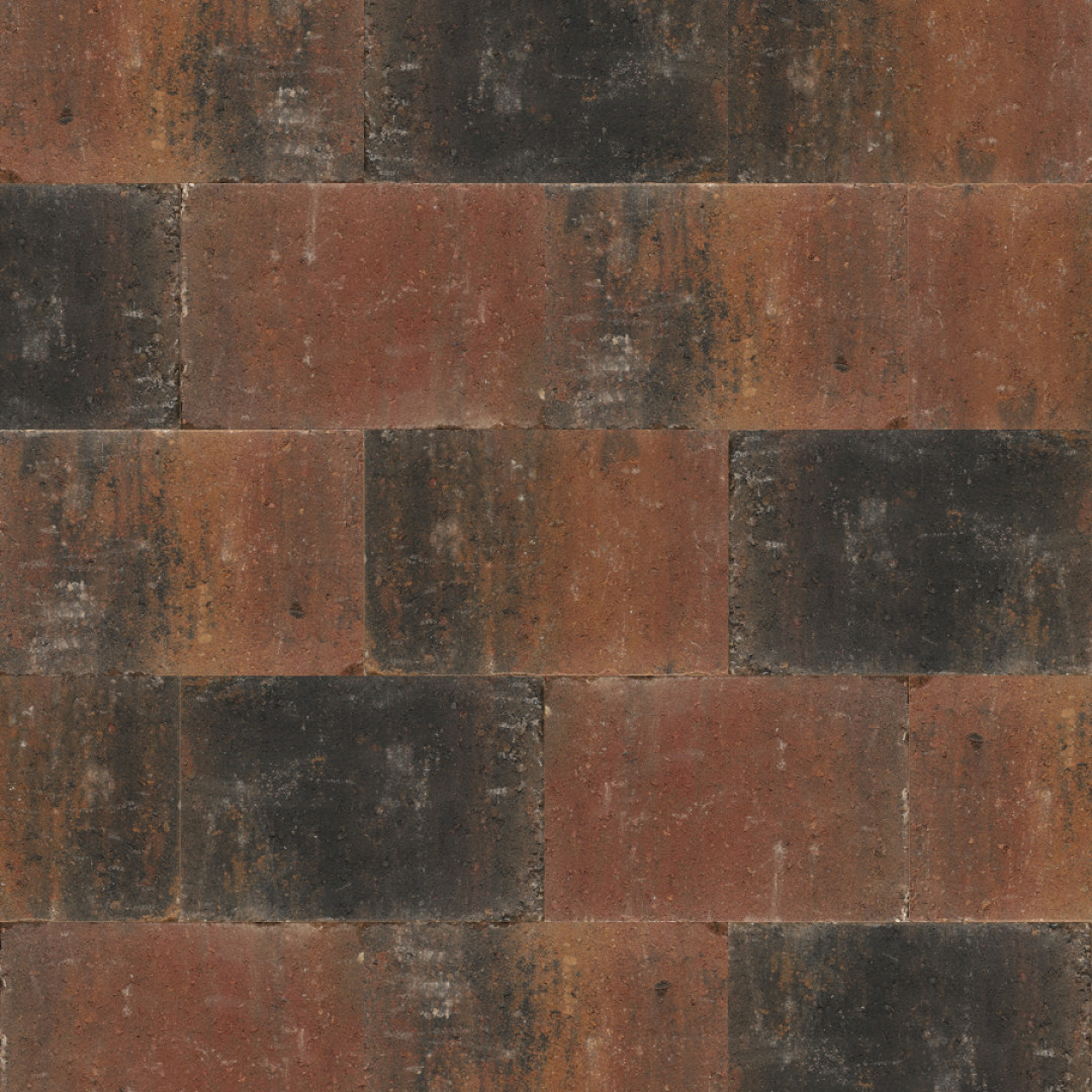 Beton Tuintegel Abbeystones Zomerbont 20x30x6 cm